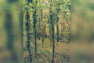 achat terrain treignac 19260