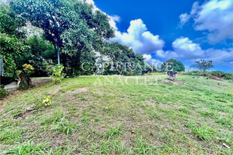 achat terrain trinite 97220