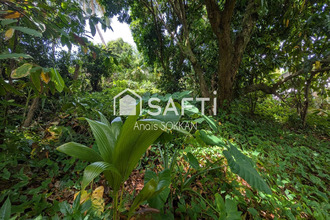 achat terrain trinite 97220