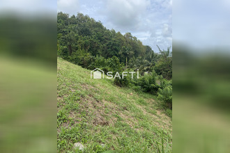 achat terrain trinite 97220