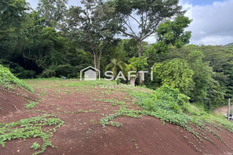 achat terrain trinite 97220