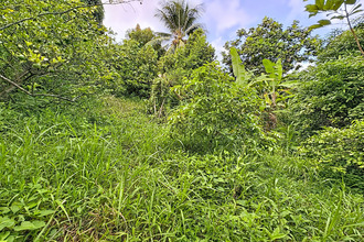 achat terrain trinite 97220