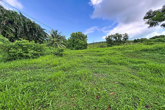 achat terrain trinite 97220