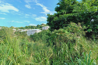 achat terrain trinite 97220