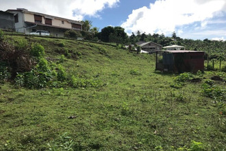 achat terrain trinite 97220