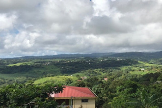 achat terrain trinite 97220