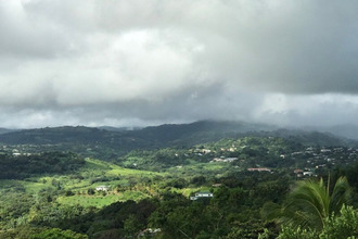 achat terrain trinite 97220