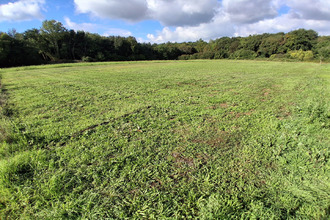 achat terrain trizay 17250