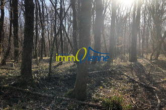 achat terrain usson-du-poitou 86350