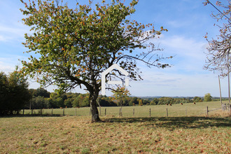 achat terrain uzerche 19140