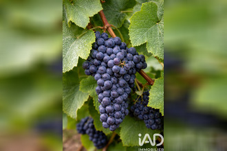 achat terrain vailly-sur-aisne 02370