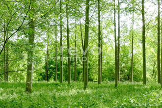 achat terrain vallet 44330