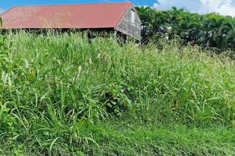 achat terrain vauclin 97280