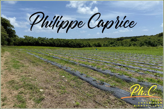 achat terrain vauclin 97280