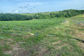 achat terrain vauclin 97280