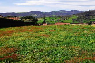 achat terrain vaugneray 69670