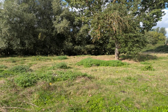 achat terrain vendegies-sur-ecaillon 59213