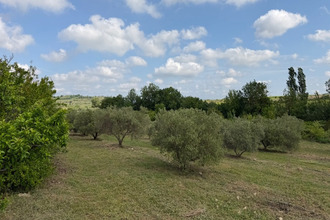 achat terrain vendemian 34230
