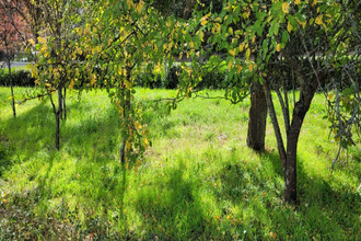 achat terrain vendome 41100