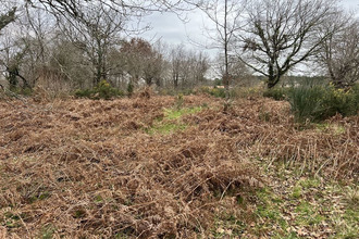 achat terrain vensac 33590