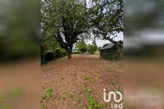 achat terrain vif 38450