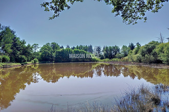 achat terrain vignoc 35630