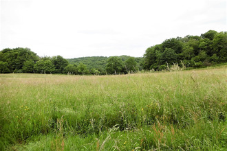 achat terrain vignols 19130