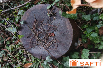 achat terrain vignot 55200