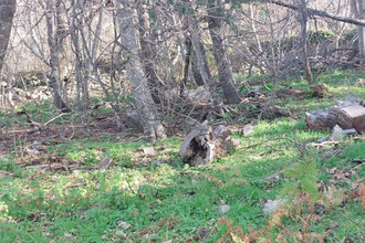 achat terrain ville-di-paraso 20279