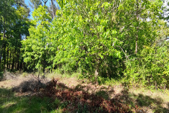 achat terrain villefranche-de-lonchat 24610