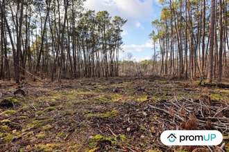 achat terrain villefranche-sur-cher 41200