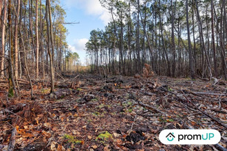 achat terrain villefranche-sur-cher 41200