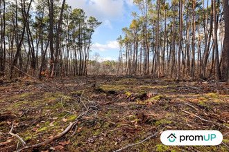 achat terrain villefranche-sur-cher 41200