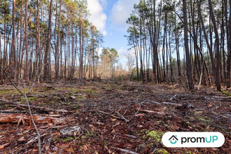 achat terrain villefranche-sur-cher 41200