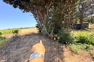 achat terrain villegailhenc 11600