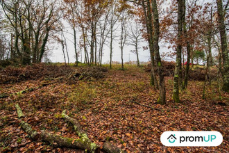 achat terrain villemur-sur-tarn 31340