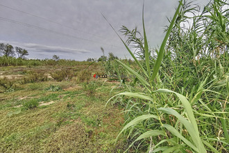 achat terrain villeneuve-de-la-raho 66180