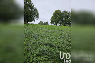 achat terrain villeneuve-sur-yonne 89500