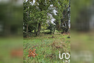 achat terrain villeneuve-sur-yonne 89500