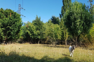 achat terrain villeperdue 37260