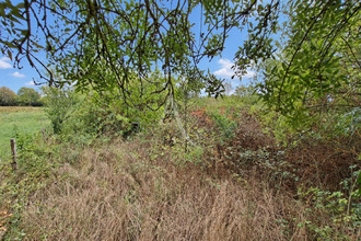 achat terrain villeveque 49140