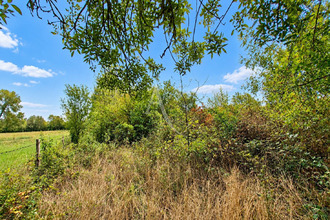 achat terrain villeveque 49140
