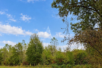 achat terrain villeveque 49140