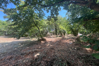 achat terrain vineuil 41350