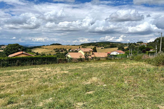 achat terrain violay 42780