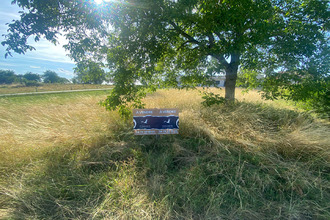 achat terrain vitrimt 54300