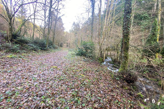 achat terrain willer-sur-thur 68760