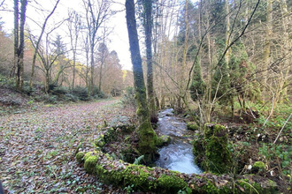 achat terrain willer-sur-thur 68760