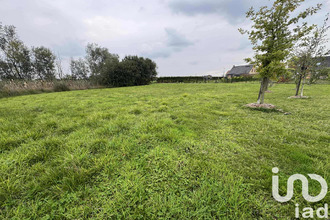 achat terrain winnezeele 59670