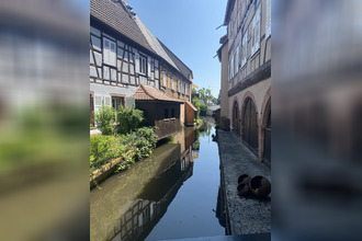 achat terrain wissembg 67160